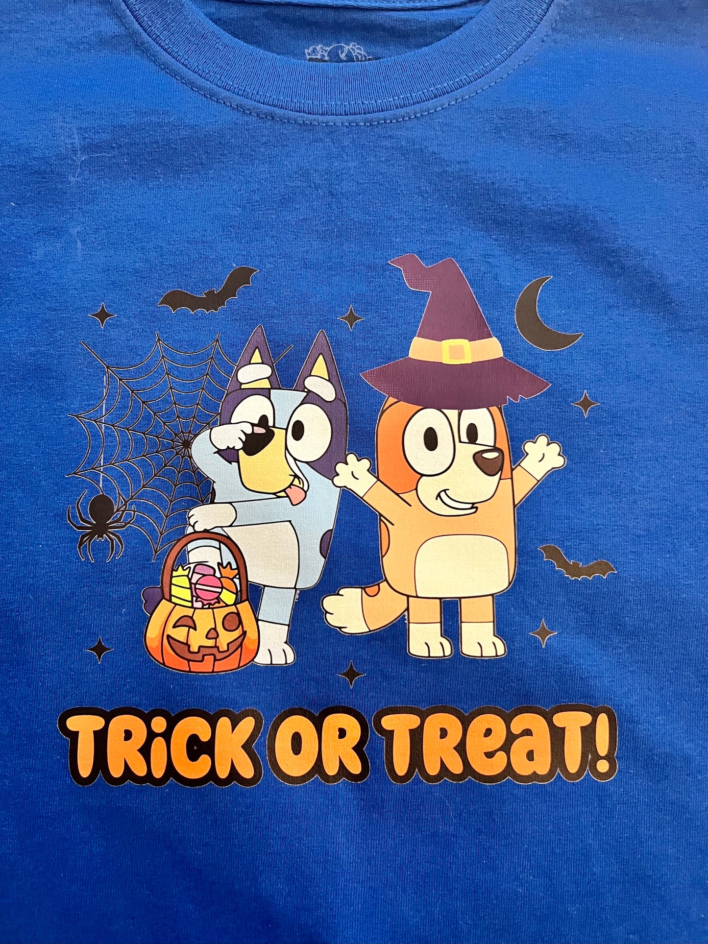 Blue Inspired Halloween Shirt (youth only)