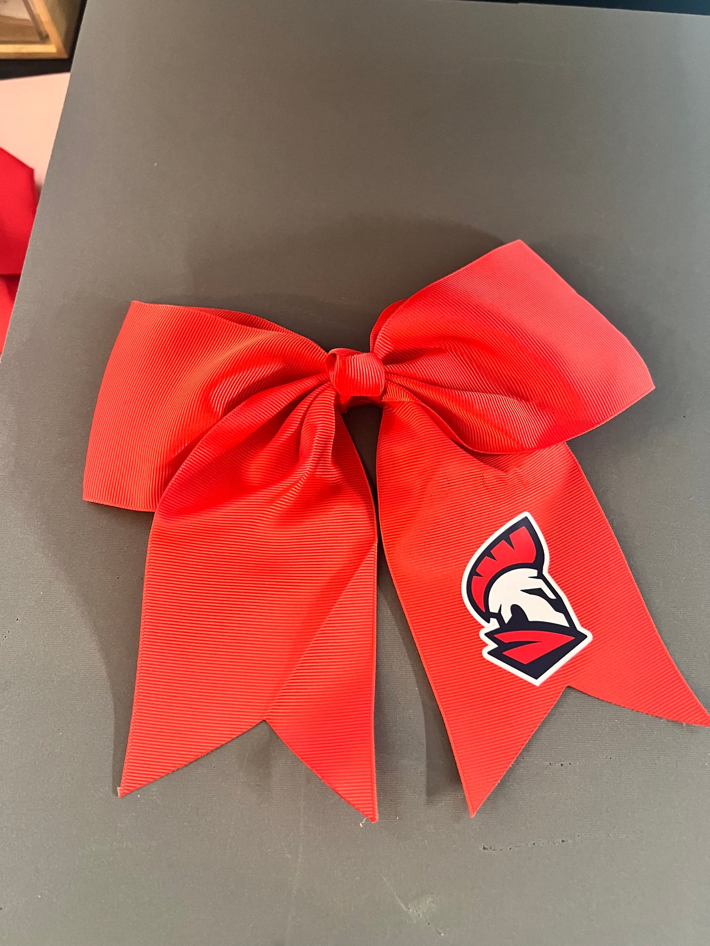 Cheer Shirts for LTS Cheer & Spirit Club Members