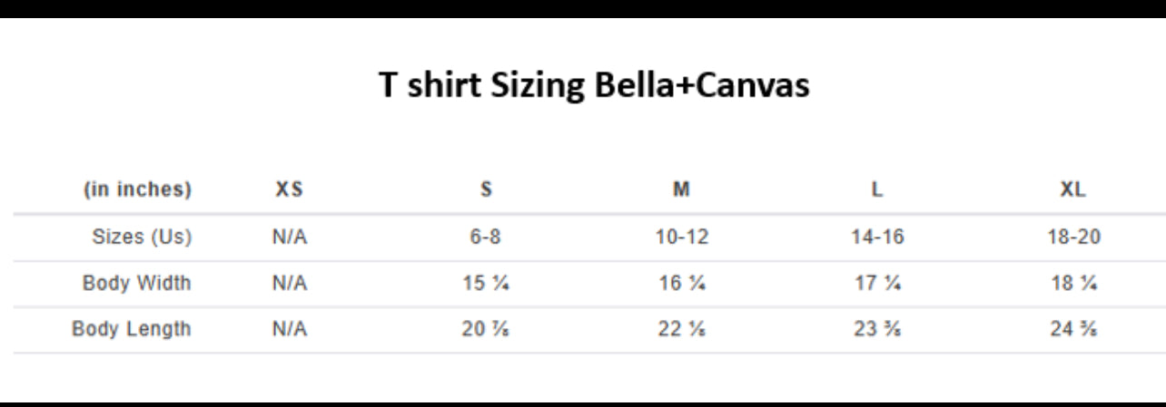 Cheer Shirts for LTS Cheer & Spirit Club Members